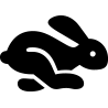 rabbit icon